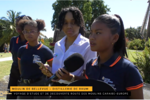 MOULIN DE BELLEVUE & DISTILLERIE DE RHUM